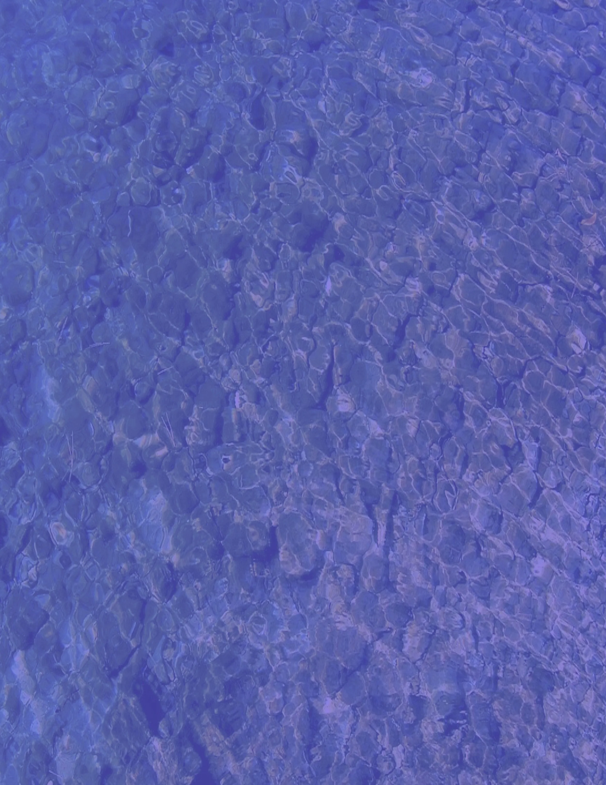 RECEPT CBGオイル　prime my body PrimeMyBody Focus Hemp Extract for Cognitive Clarity — Sacred Ally